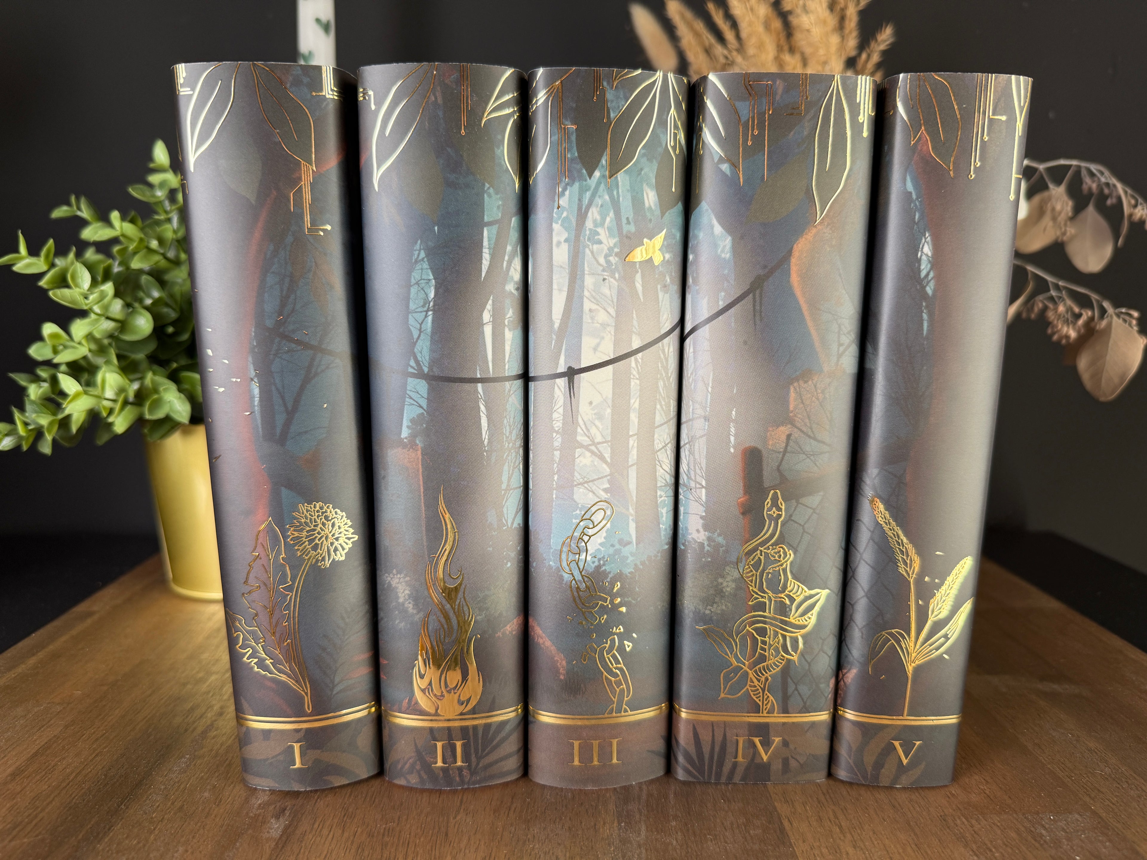 Buchumschläge für Hardcover inspiriert für die Panem Bücher