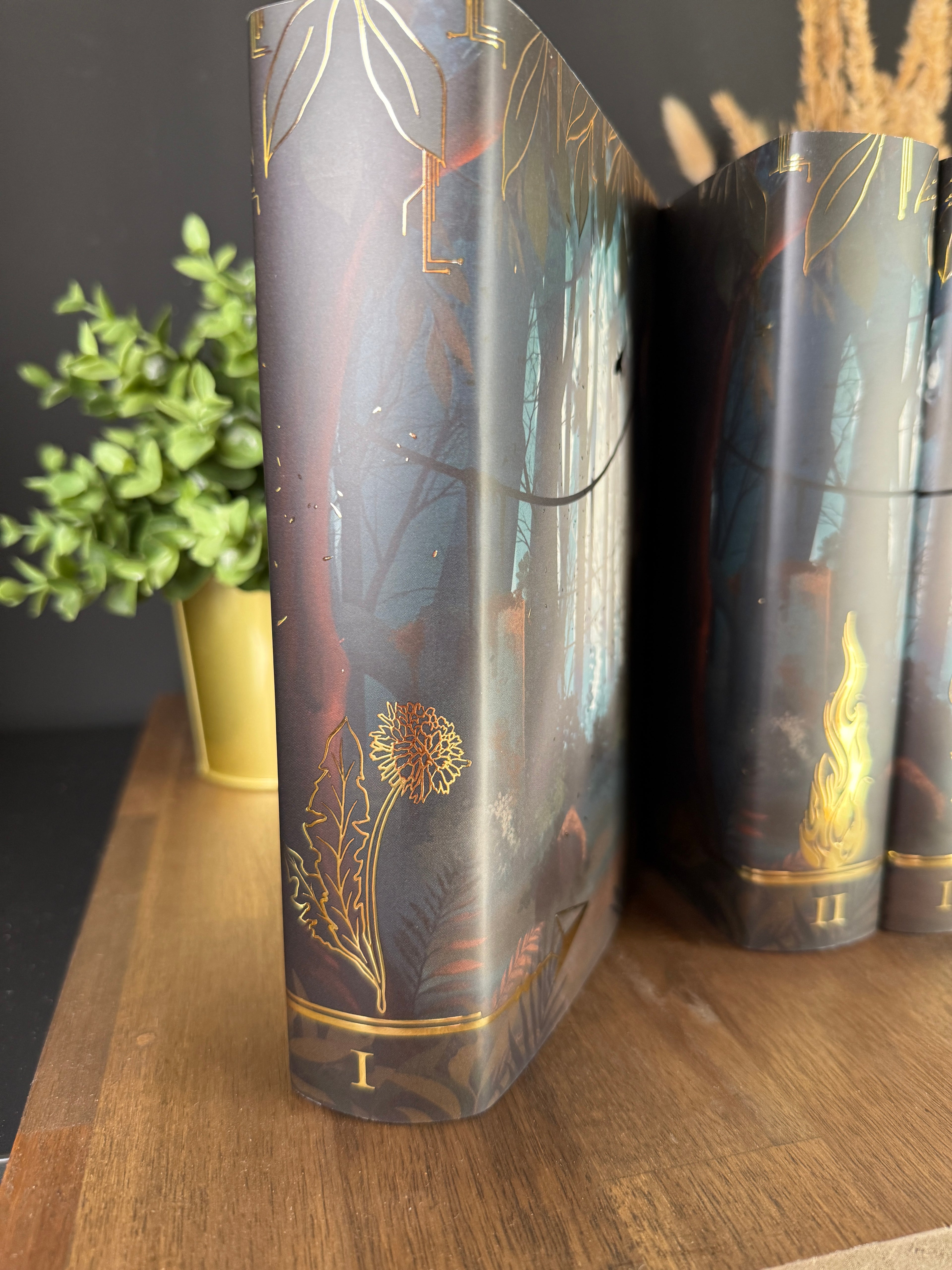 Buchumschläge für Hardcover inspiriert für die Panem Bücher