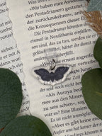 Dust Plugs für USB-C-Anschlüsse "Motte"