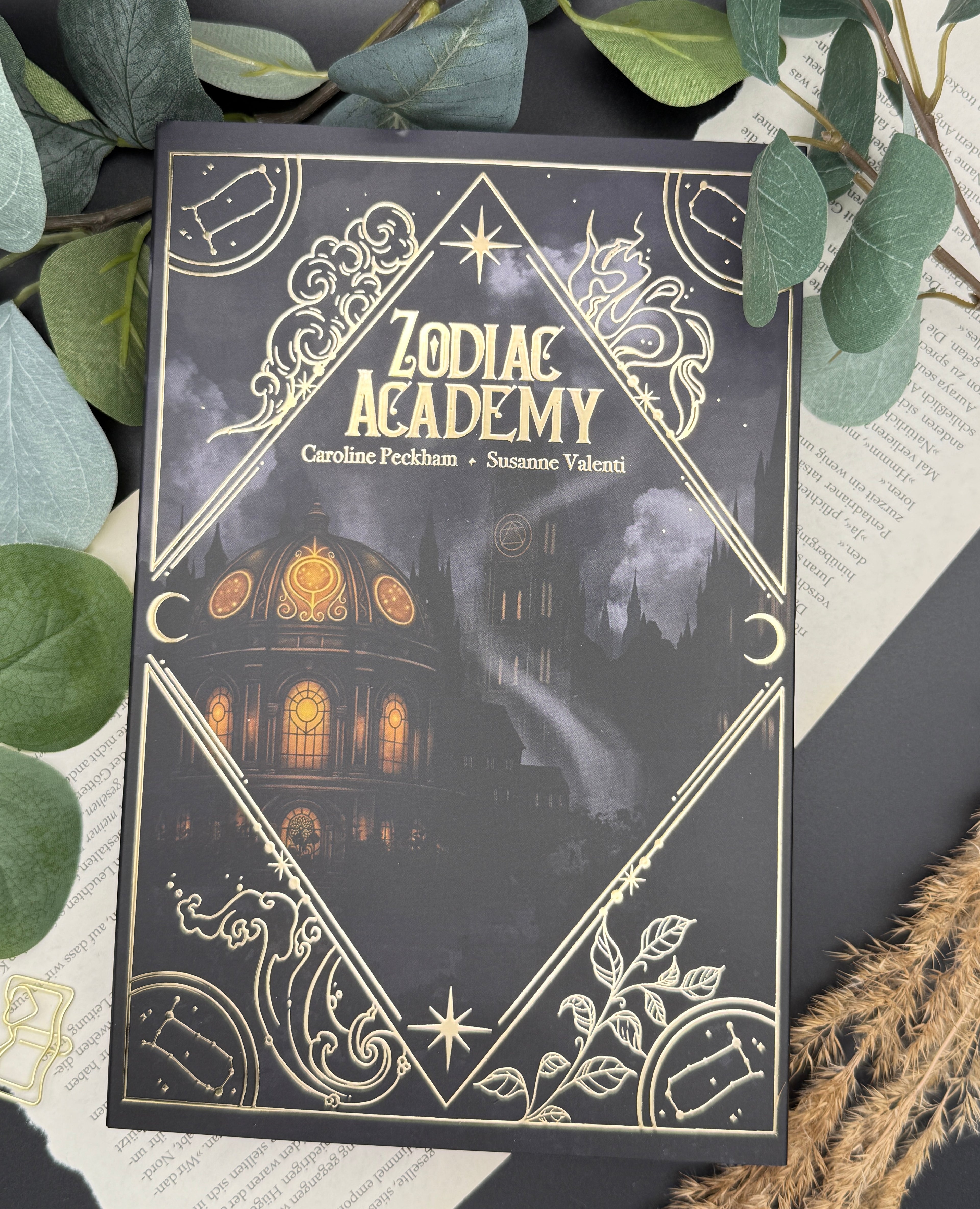 Dust Jackets ,The Awakening'