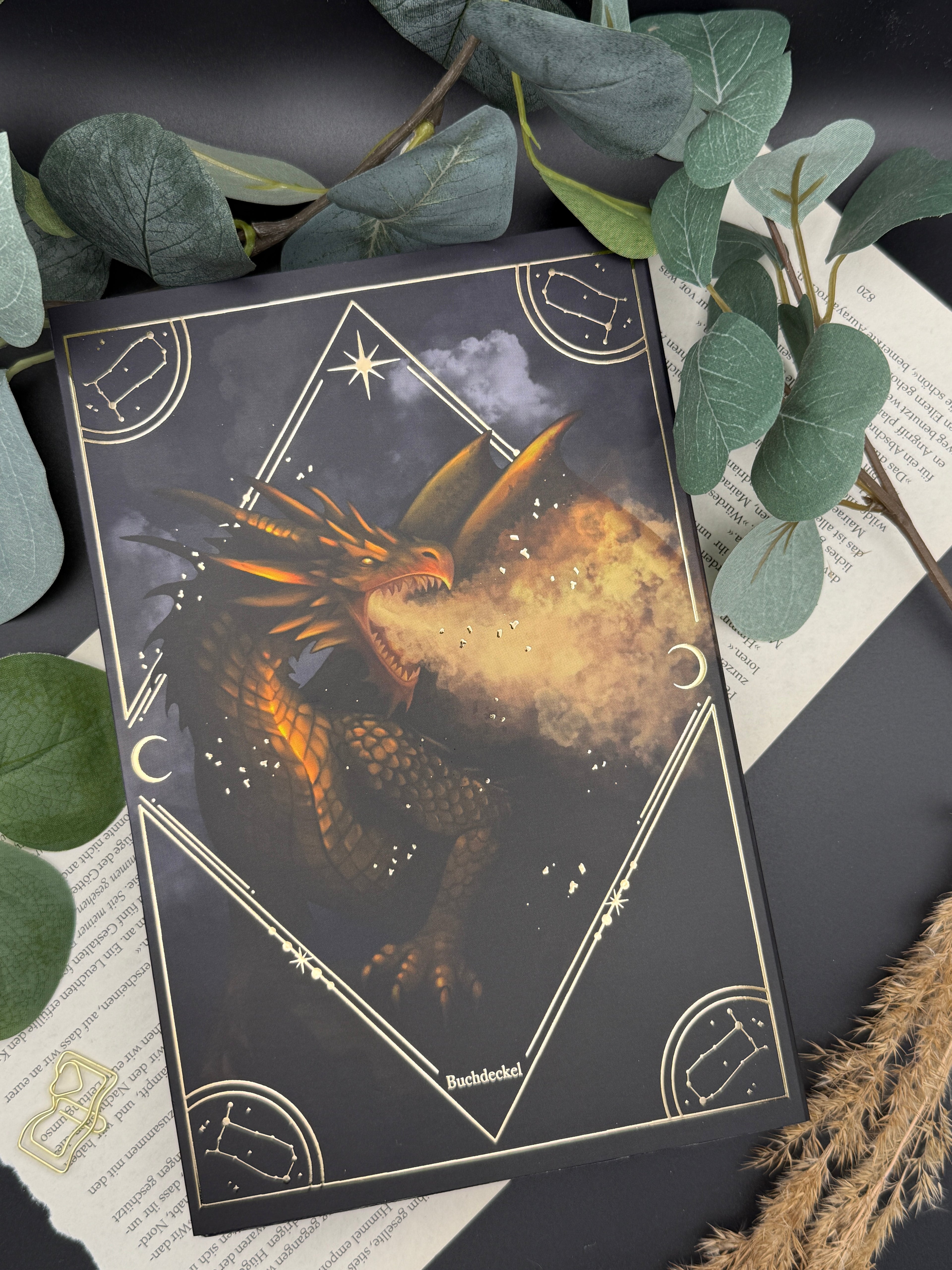 Dust Jackets ,The Awakening'