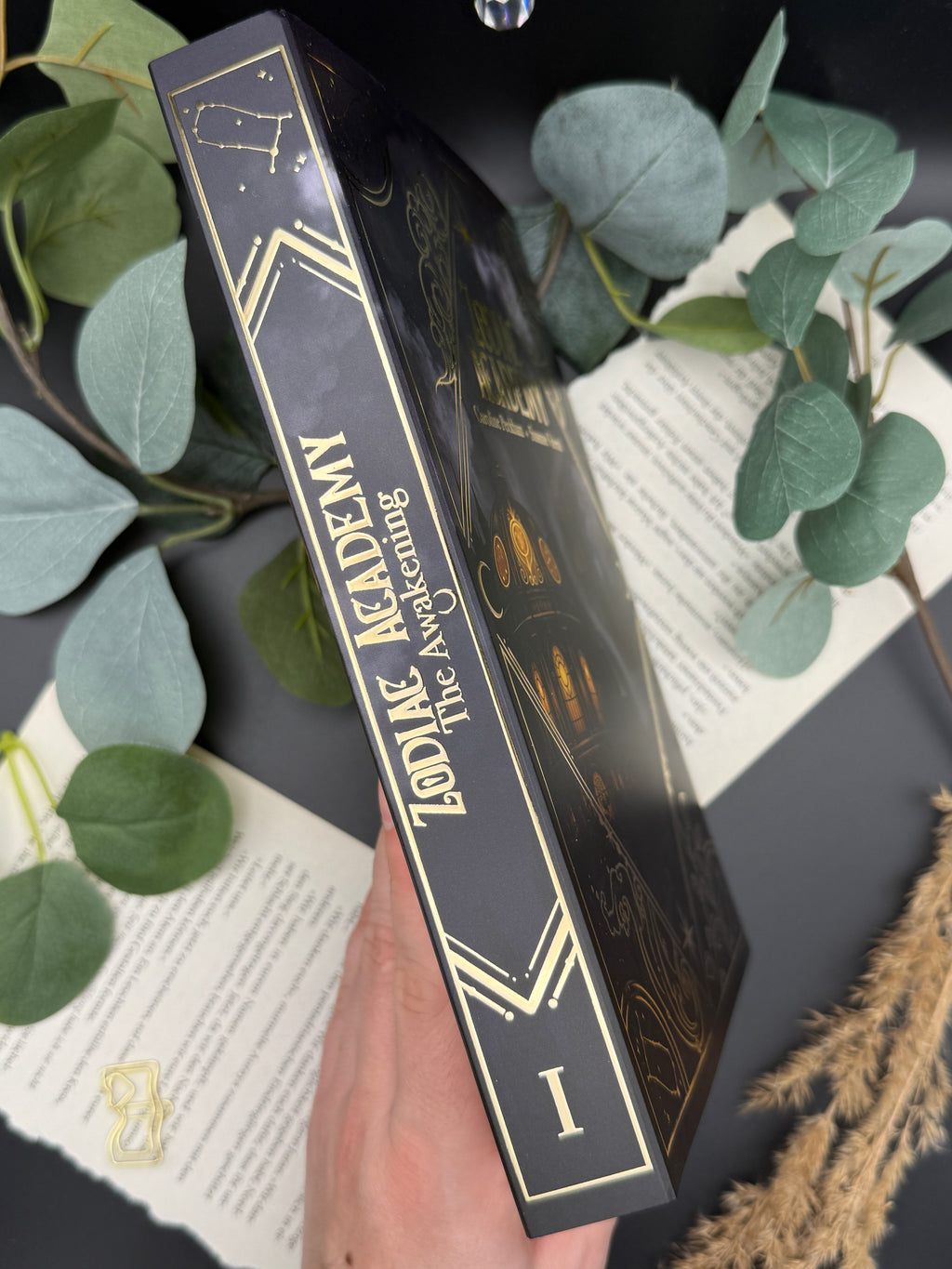 Dust Jackets ,The Awakening'