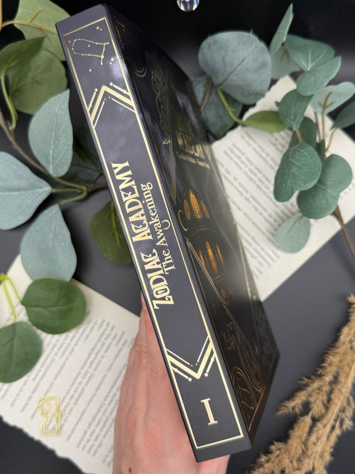 Dust Jacket 'The Awakening'