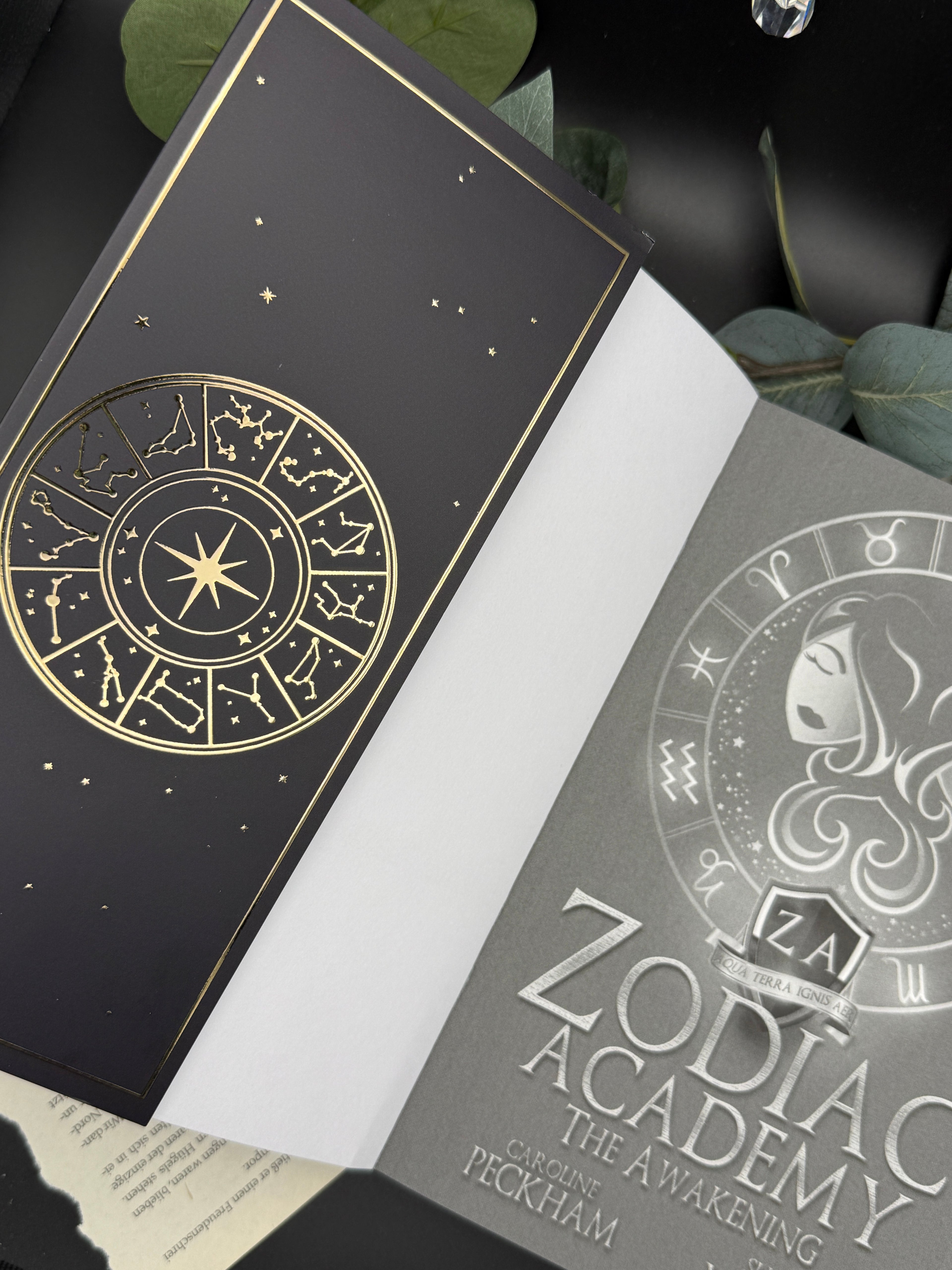 Dust Jackets ,The Awakening'