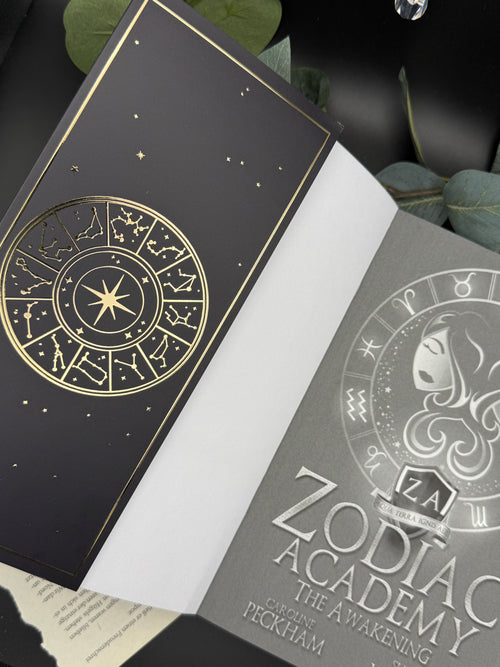 Dust Jacket 'The Awakening'
