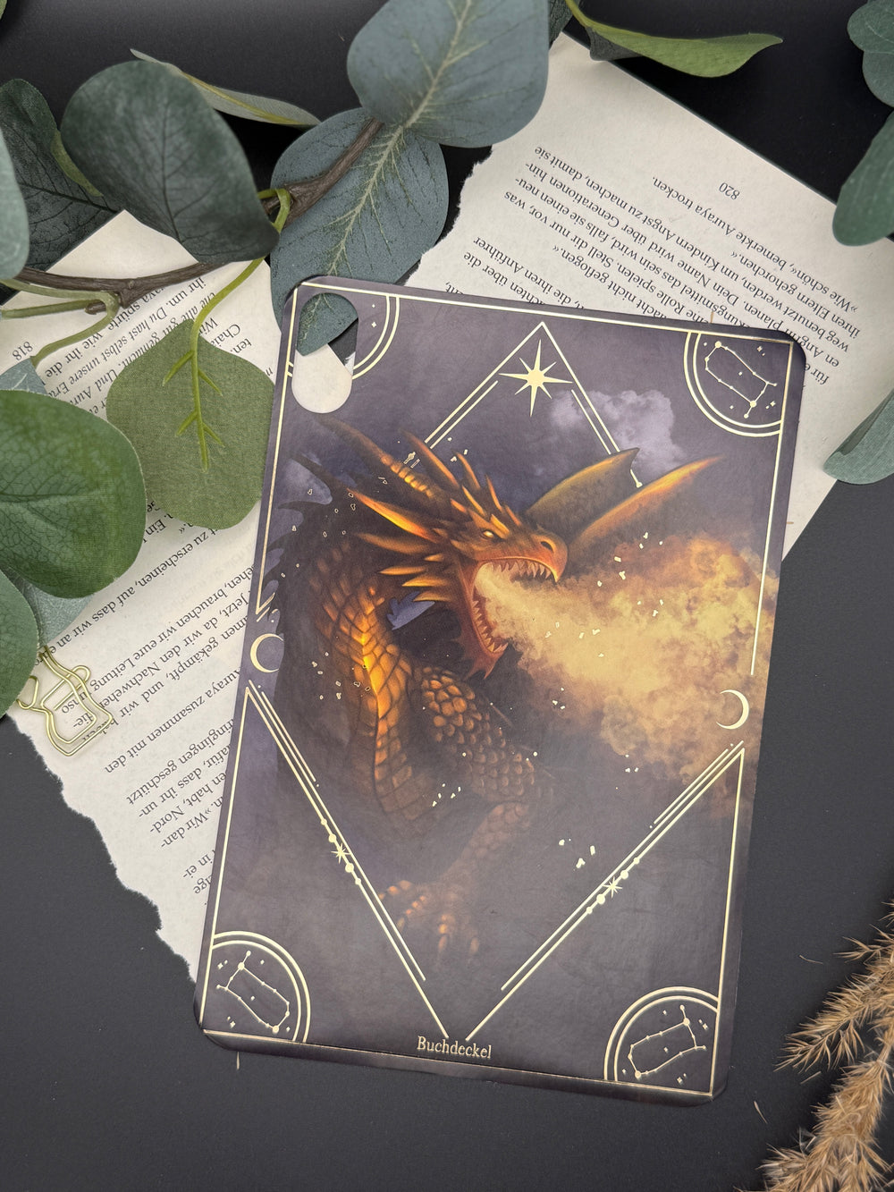 iPad Mini 6&7 Einleger Drache ( Zodiac )